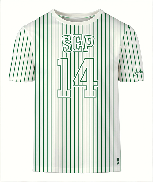 T-Shirt Listras Jogadores Palmeiras Masculina