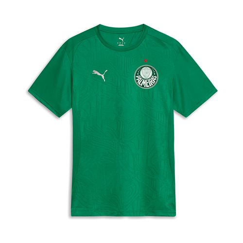 Camiseta Palmeiras Puma 25/26 Treino
