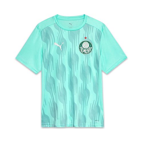 Camiseta Pre Jogo Palmeiras Puma 25/26
