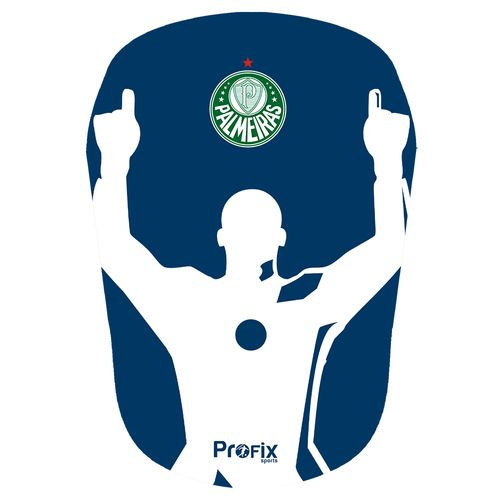 Caneleira Palmeiras 12 De São Marcos
