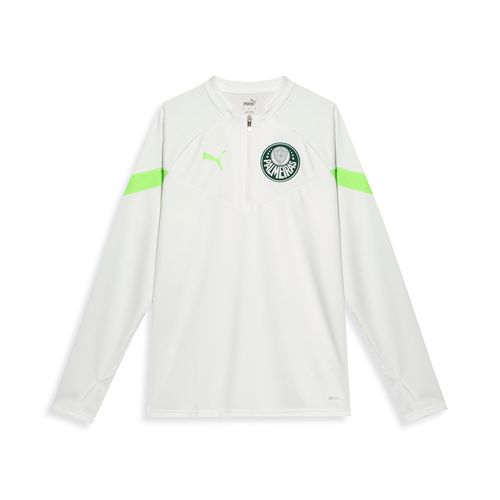 Moletom Palmeiras Puma