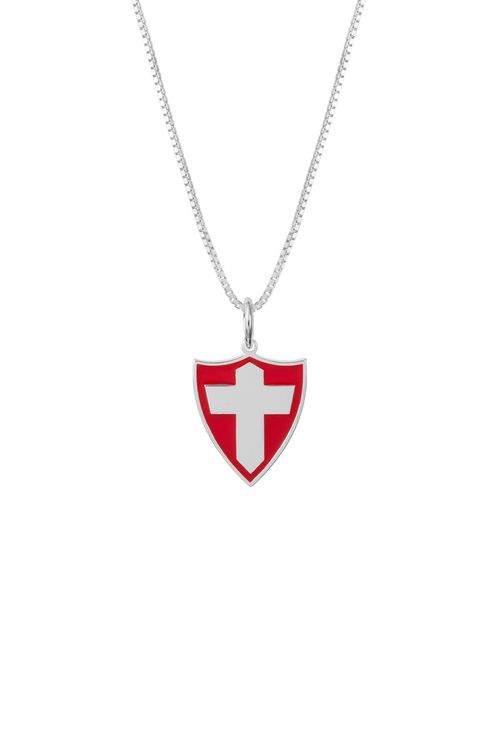 Pingente Palmeiras Savoia em Prata 925 Colorido + Corrente 42 cm