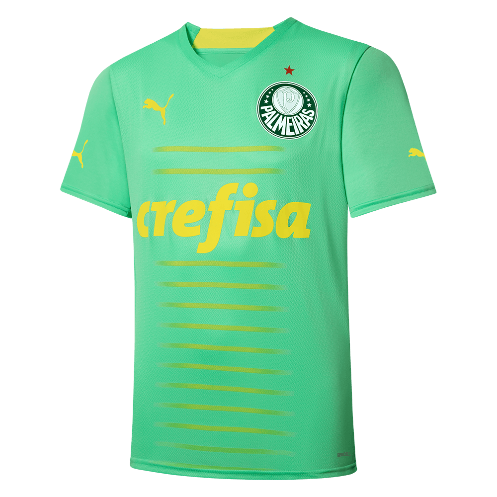 Uniforme Comprar Camisa Puma Palmeiras Camisa Palmeiras Puma III 22/23